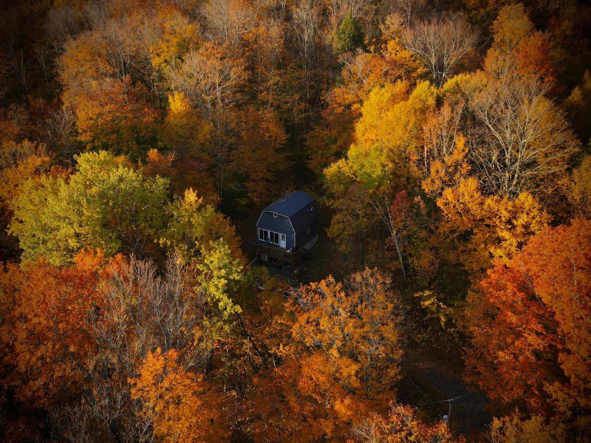 Mandy'S Mountain Chalet Dover Exterior foto